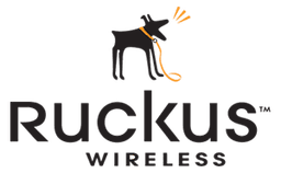 Networking Partner 3